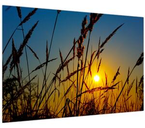 Slika - Zalazak sunca na livadi (90x60 cm)