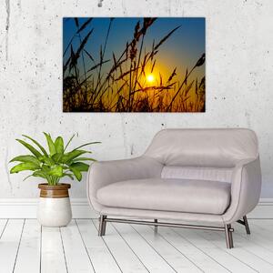 Slika - Zalazak sunca na livadi (90x60 cm)