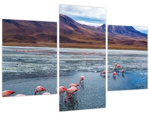 Slika - Flamingosi (90x60 cm)