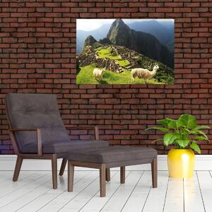 Slika - Lame u Machu Picchu (90x60 cm)