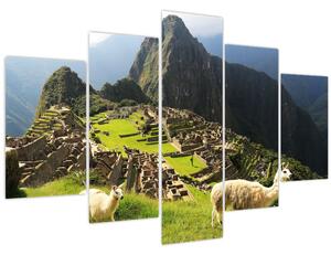 Slika - Lame u Machu Picchu (150x105 cm)