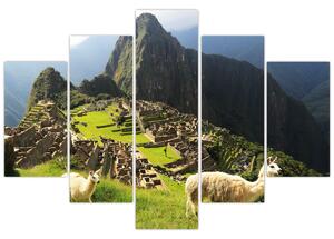 Slika - Lame u Machu Picchu (150x105 cm)