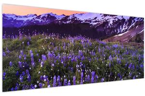 Slika - Vulkan i cvijeće (120x50 cm)