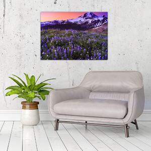 Slika - Vulkan i cvijeće (70x50 cm)