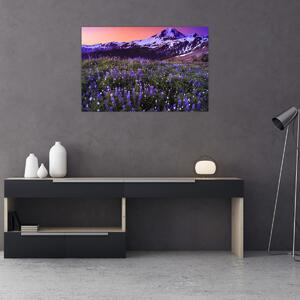 Slika - Vulkan i cvijeće (90x60 cm)