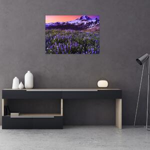 Slika - Vulkan i cvijeće (70x50 cm)