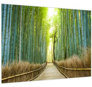 Slika - Put s bambusima (70x50 cm)