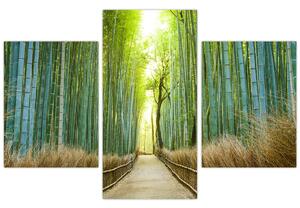 Slika - Put s bambusima (90x60 cm)
