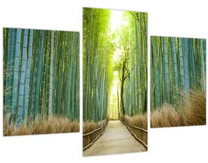 Slika - Put s bambusima (90x60 cm)
