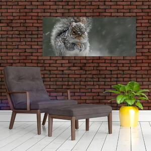 Slika - Vjeverica zimi (120x50 cm)