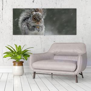 Slika - Vjeverica zimi (120x50 cm)