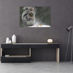 Slika - Vjeverica zimi (90x60 cm)