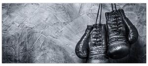 Slika - Rukavice za boks (120x50 cm)