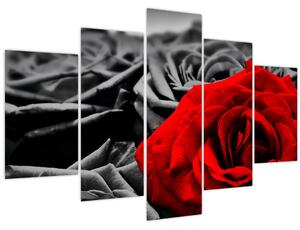 Slika - Ruža (150x105 cm)