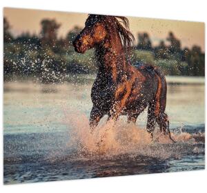 Slika - Trčeći konj (70x50 cm)