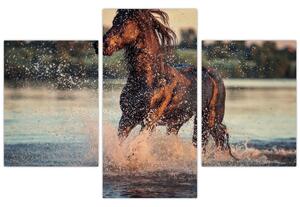 Slika - Trčeći konj (90x60 cm)