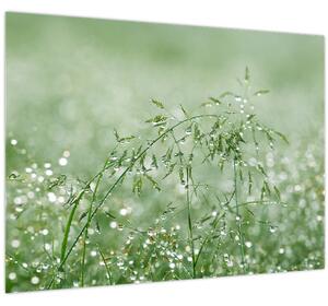 Slika - Rosa u travi (70x50 cm)