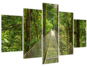 Slika - Viseći most (150x105 cm)
