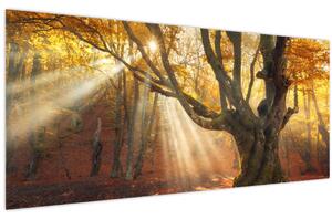 Slika - Jesenje svjetlo (120x50 cm)