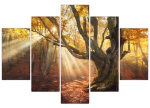 Slika - Jesenje svjetlo (150x105 cm)