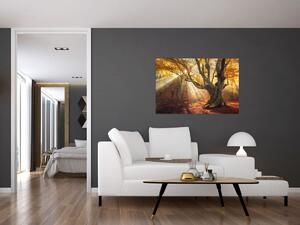 Slika - Jesenje svjetlo (90x60 cm)