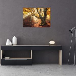 Slika - Jesenje svjetlo (70x50 cm)