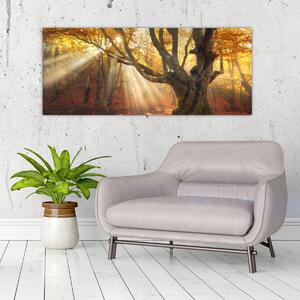 Slika - Jesenje svjetlo (120x50 cm)