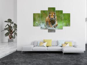 Slika - Tigar koji trči (150x105 cm)
