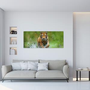 Slika - Tigar koji trči (120x50 cm)