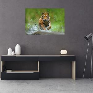 Slika - Tigar koji trči (90x60 cm)