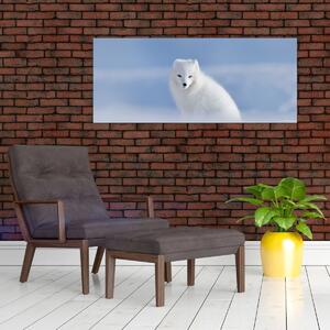Slika - Arktička lisica (120x50 cm)