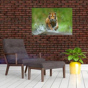 Slika - Tigar koji trči (90x60 cm)