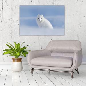 Slika - Arktička lisica (90x60 cm)