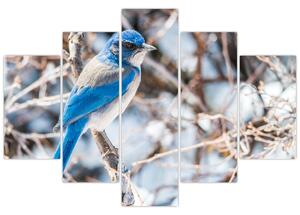 Slika - Zimska ptica (150x105 cm)