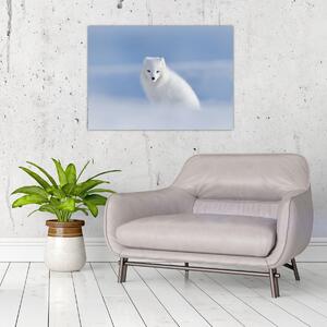 Slika - Arktička lisica (70x50 cm)