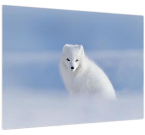 Slika - Arktička lisica (70x50 cm)