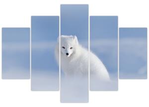 Slika - Arktička lisica (150x105 cm)