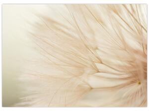 Slika - Detalji cvijeta (70x50 cm)