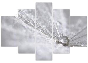 Slika - Kap vode (150x105 cm)