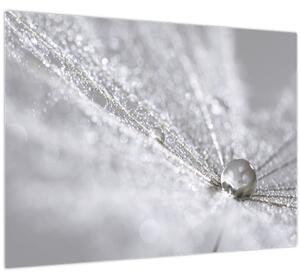 Slika - Kap vode (70x50 cm)