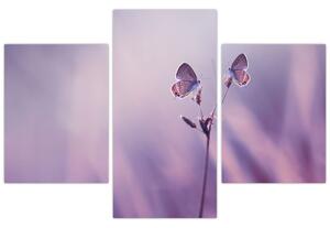 Slika - Ljubičasti leptirići (90x60 cm)