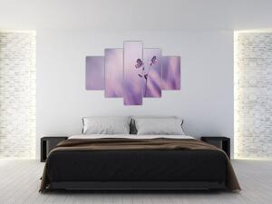 Slika - Ljubičasti leptirići (150x105 cm)