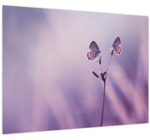 Slika - Ljubičasti leptirići (70x50 cm)