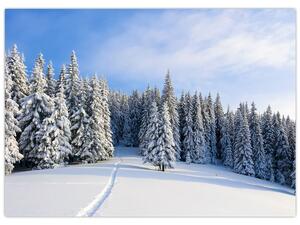 Slika - Zima u šumi (70x50 cm)