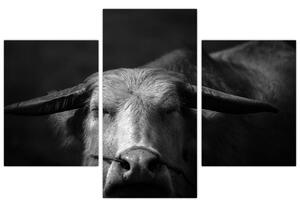 Slika - Krava (90x60 cm)