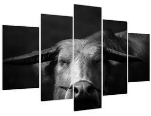 Slika - Krava (150x105 cm)