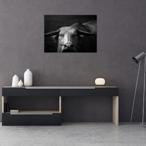 Slika - Krava (70x50 cm)