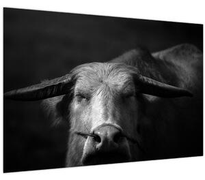 Slika - Krava (90x60 cm)