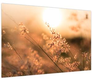 Slika - Trava na suncu (90x60 cm)