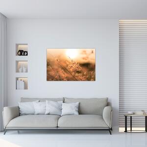 Slika - Trava na suncu (90x60 cm)